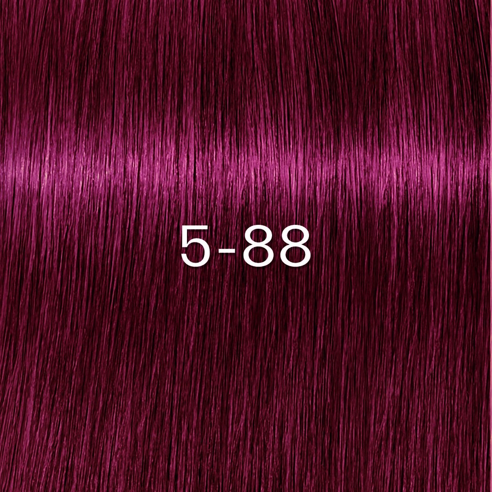 Schwarzkopf - Tinte sin Amoniaco Igora Zero AMM 5-88 Castaño Claro Rojo Intenso 60 ml