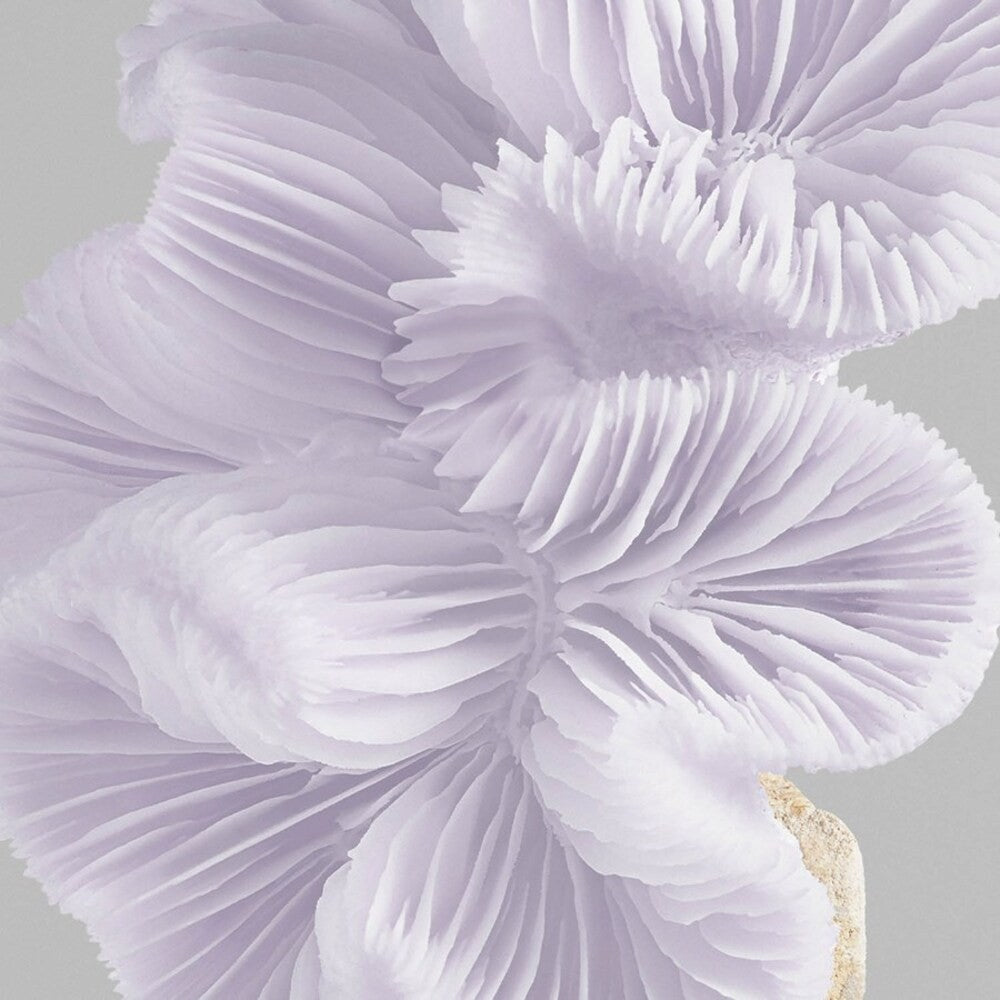 Wella - Mascarilla de Color - Color Fresh Pearl Blonde 150 ml