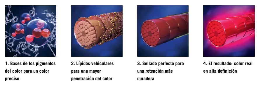 igora-funciona-cobertura