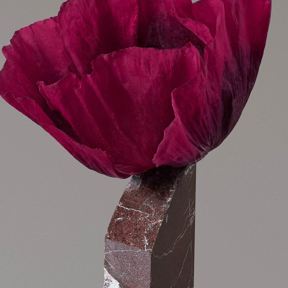 Wella - Mascarilla de Color - Color Fresh Rose Blaze 150 ml